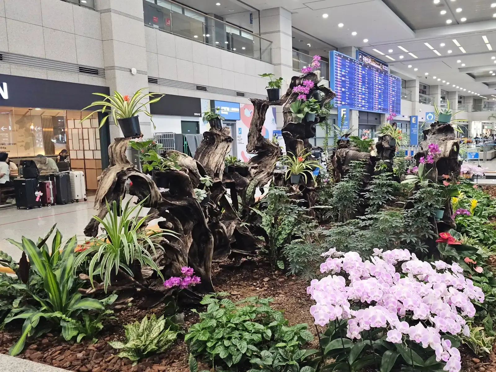 인천공항 제1터미널 입국장 - 도착 안내 전광판과 만남의 장소